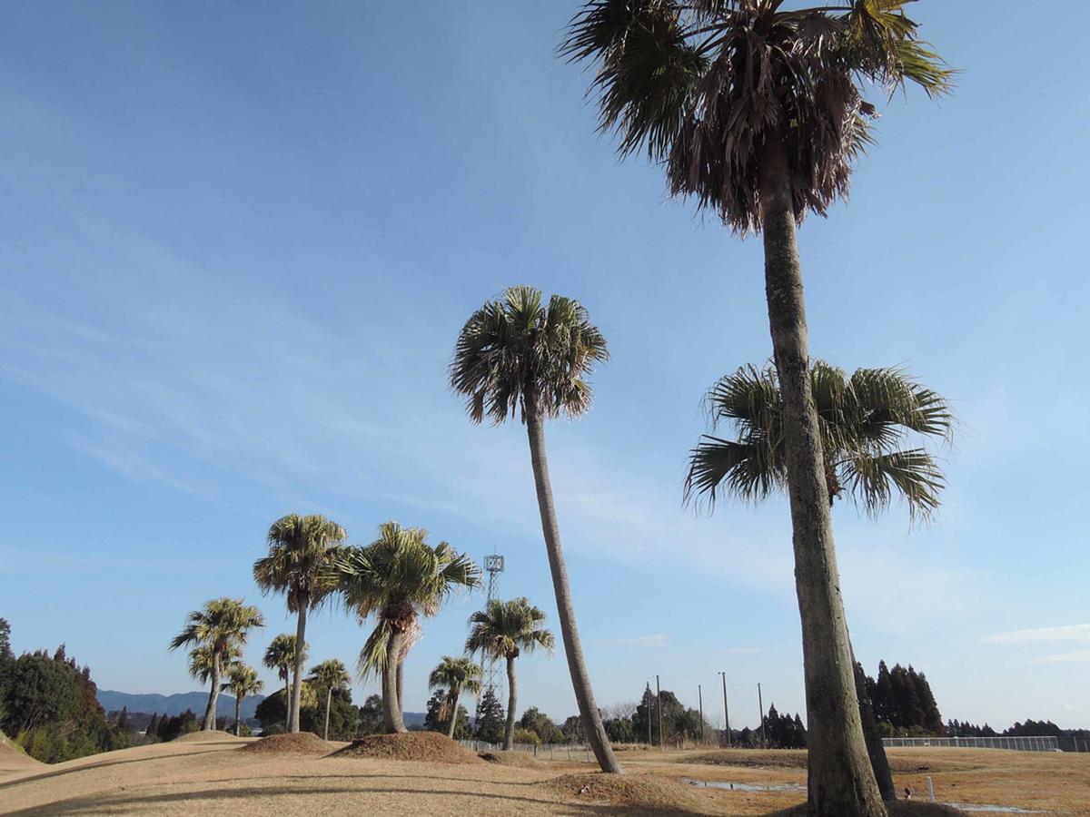 Miyazaki Kokusai Kuko Country Club Lodge ภายนอก รูปภาพ